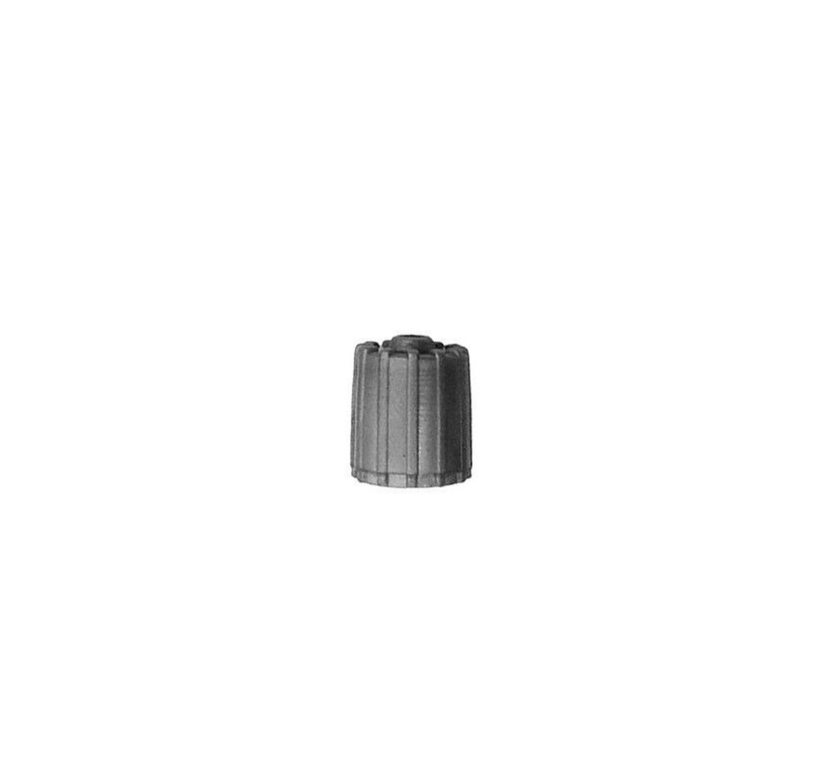MT-RSR CAP-4925 Gray TPMS Tire Valve Cap, 100/Box