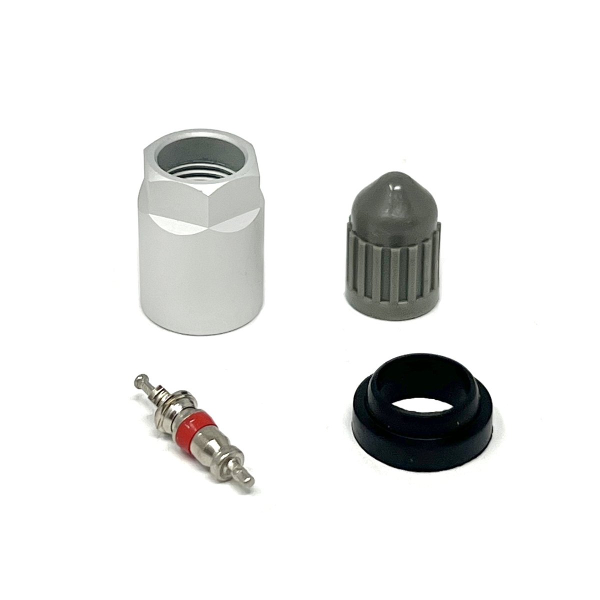 MT-RSR TPS-6102 TPMS Service Kit, Schrader Gen J Compatible - 10-Pack