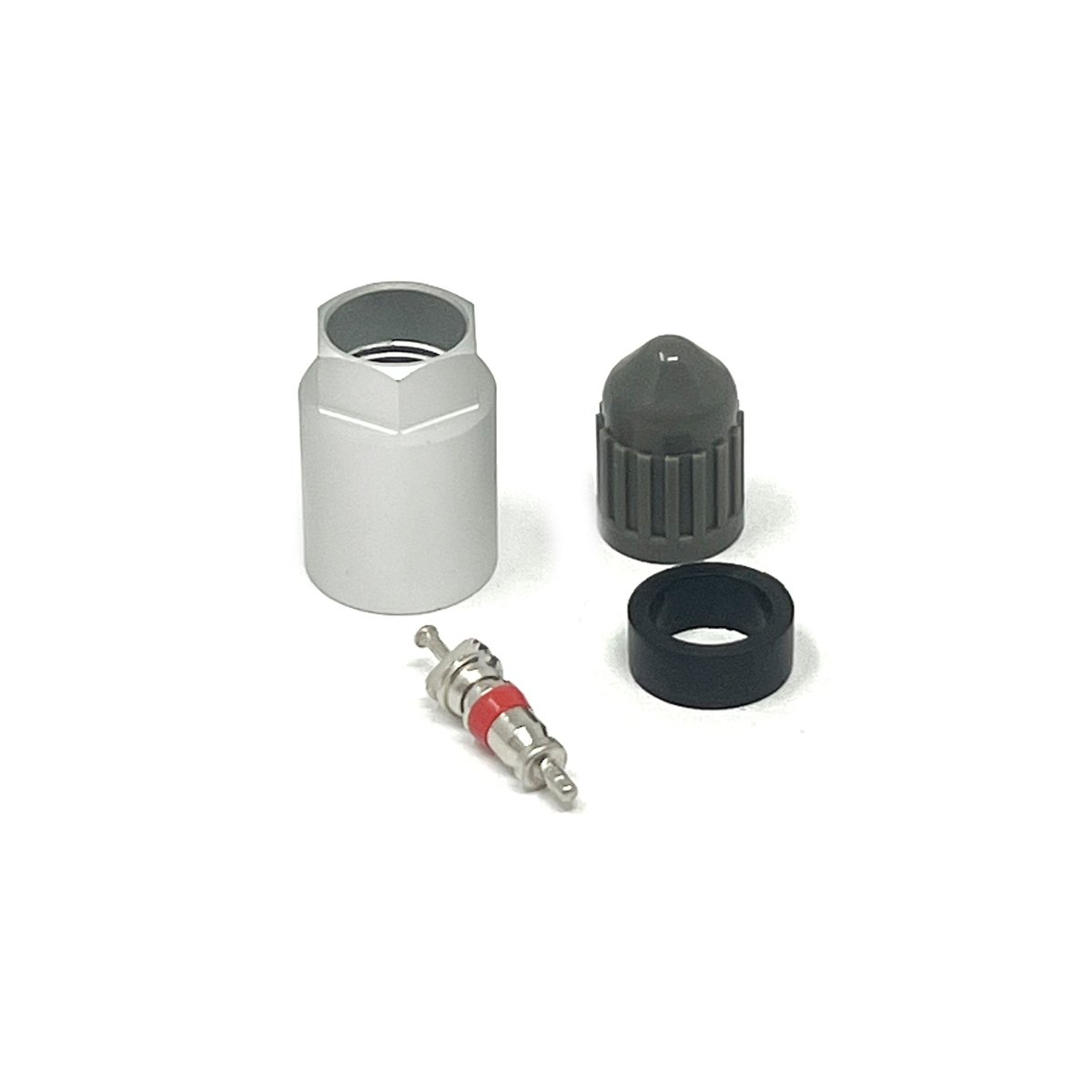 MT-RSR TPS-6122 TPMS Service Kit, Schrader Gen J, 6-122, 2010K (10-Pack)