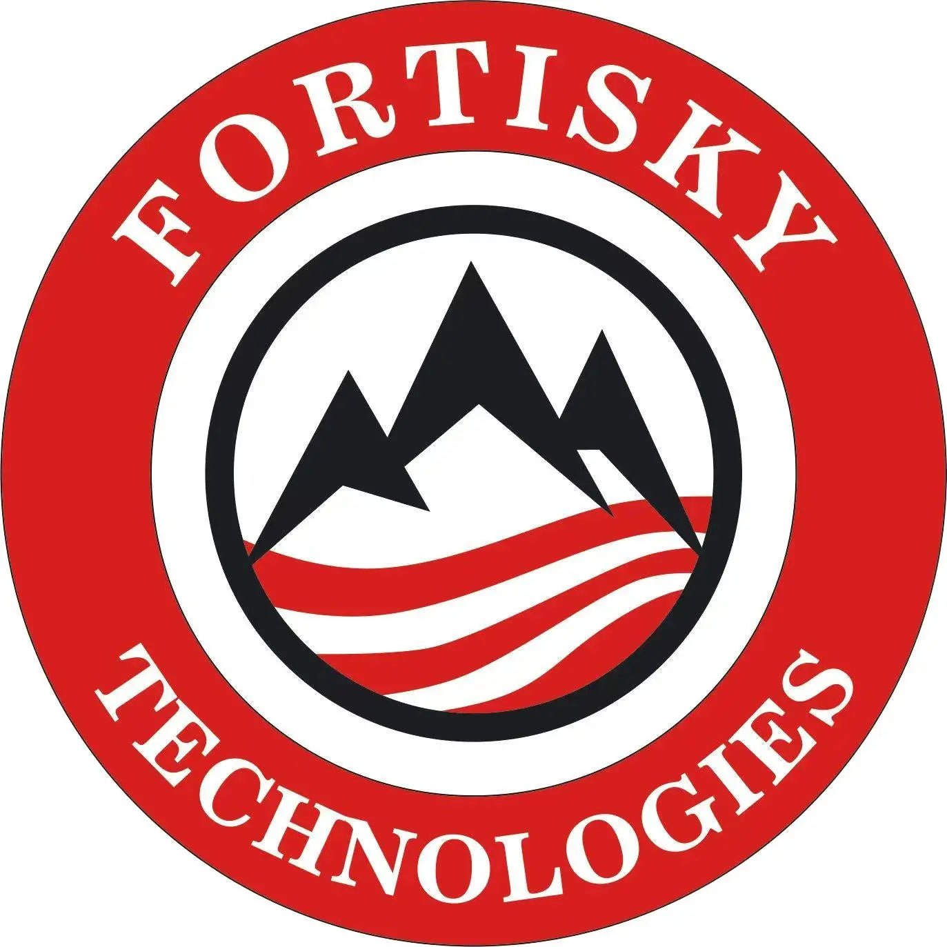 Fortisky Wheel Balancers