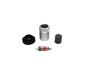 TPMS service kit 10 pack Schrader sensors