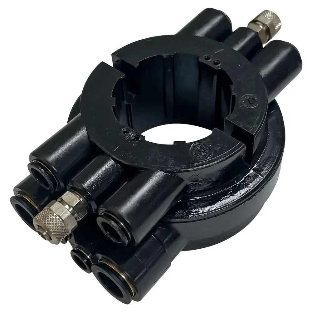 842989921 no background