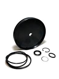 COATS 182079 Seal Kit, For Bead Breaking Cylinder, Late Coats, 8" Dia.